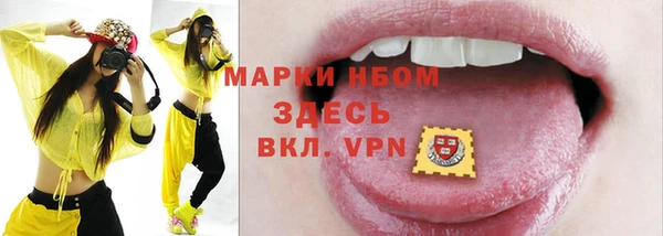 гашик Аркадак