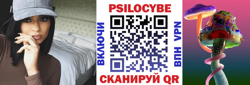 ОМГ ОМГ ТОР  Знаменск  Галлюциногенные грибы Magic Shrooms 